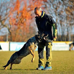 Residencia y Adiestramiento Canino Can Brutus hombre enseñando a perro
